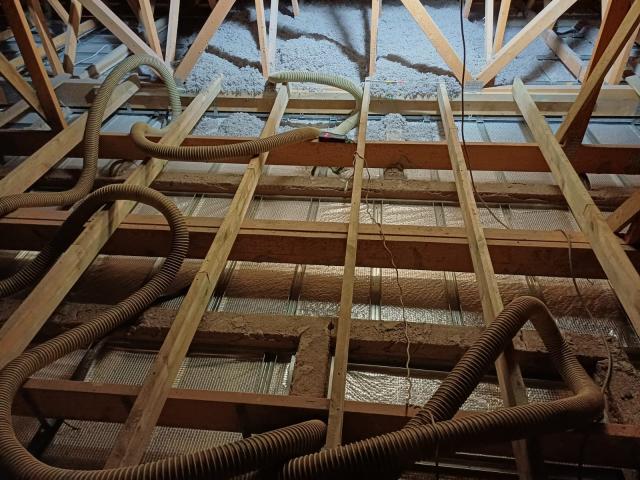 Photo 2024 05 28 06 12 04 4